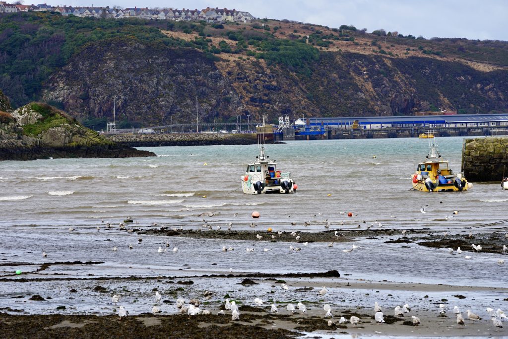 Fishguard’s Lower Town harbour